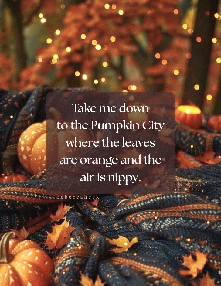 thespookygirll's tweet photo. PLEASE 🍂🎃🌧️ https://t.co/PeOXFI87ps