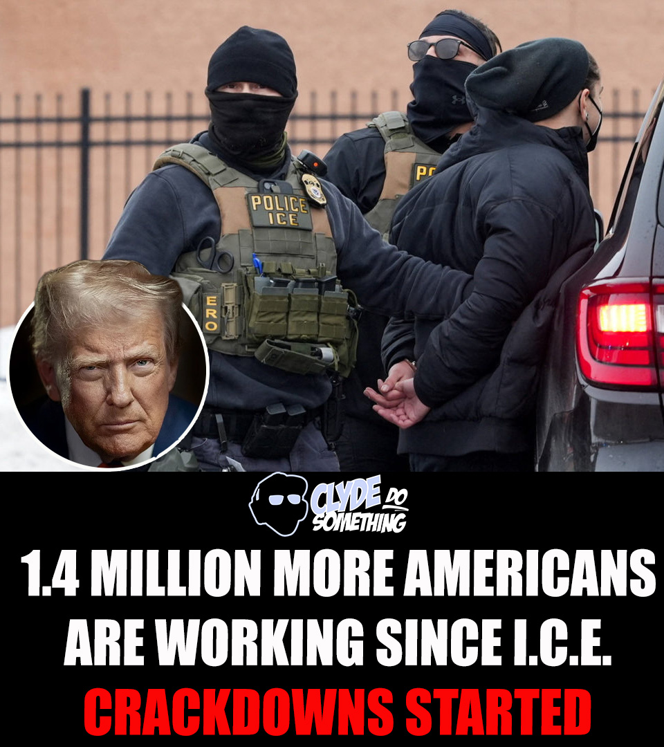 ClydeDoSomethin's tweet photo. That's how many more Americans were working in June 2026 than in January 2025, when the enforcement push started.

1.4 million.

Over that same stretch, the number of foreign-born people working dropped by about a million. All of that drop was among non-citizens.

Remember what they told you. Mass deportations would tank the economy. Crops would rot. Nobody would show up to work.

Turns out they were lying… AGAIN

This is why America voted the way it did.