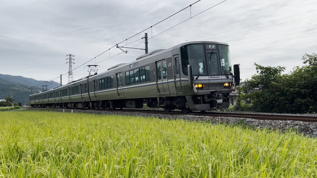189_Hamakaze's tweet photo. 2026年8月、播但線。
8日、香住工臨返却、新野→鶴居、第二サルカク踏切付近で3時34分頃撮影。
9日、223系6両、鶴居→新野、第二サルカク踏切付近で6時30分頃撮影。
223系6両、新野→鶴居、第四御所ケ坪踏切付近で6時51分頃撮影。
223系代走4両、新野→鶴居、第四御所ケ坪踏切付近で7時5分頃撮影。 https://t.co/t5aSSCydbX