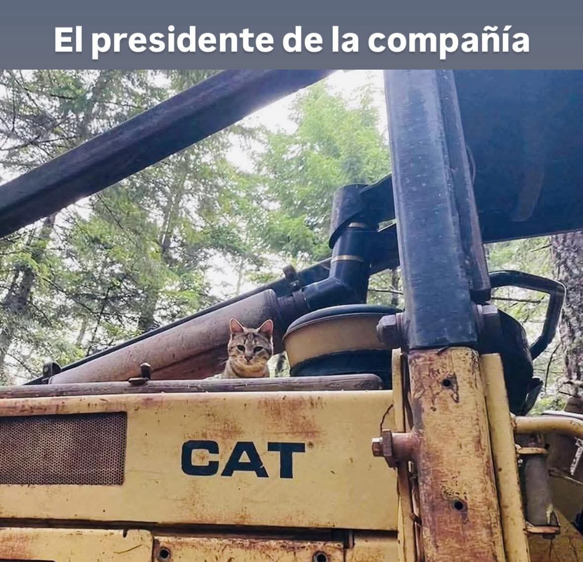 Animalesaprieto's tweet photo. https://t.co/4nwGwTIXV0
