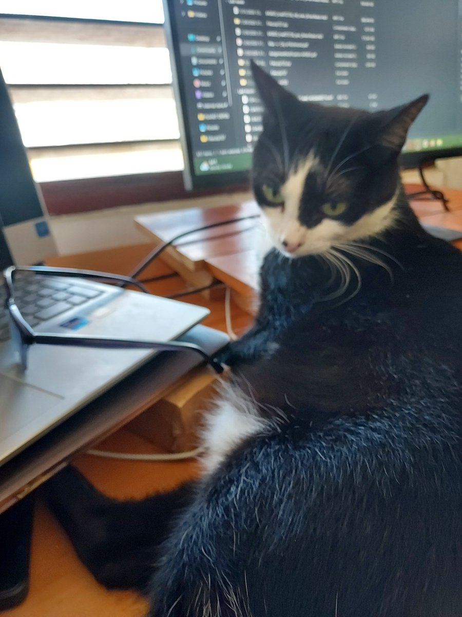 SweetEndurance's tweet photo. #Catologist?   Jeez!  They deserve their own specialty!
Happy #internationalcatday #feline #friends and #companions https://t.co/an7YwPyHkp