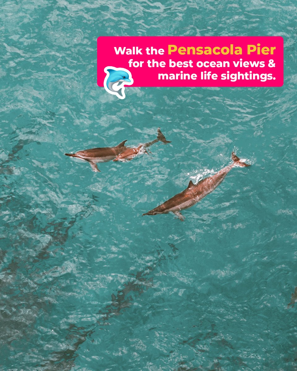 SATairport's tweet photo. There's still time to squeeze in one last summer vacay! ☀️🌊🦀 Hop on our nonstop to Pensacola, Florida, and spend your days relaxing on white-sand beaches, enjoying fresh Gulf seafood, boutique shopping on the boardwalk, and making unforgettable family memories this summer. https://t.co/DzwSQhnj4W