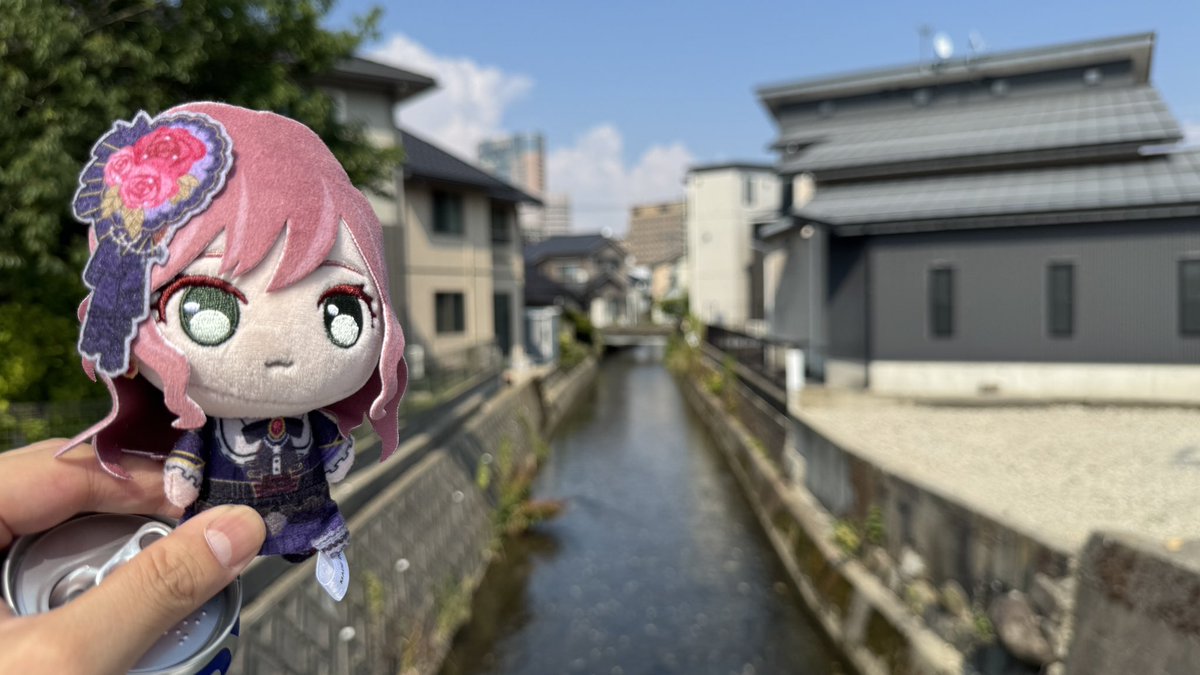 buccaneer_44's tweet photo. おはリサ日曜日〜 https://t.co/QVDT1Wcpiq