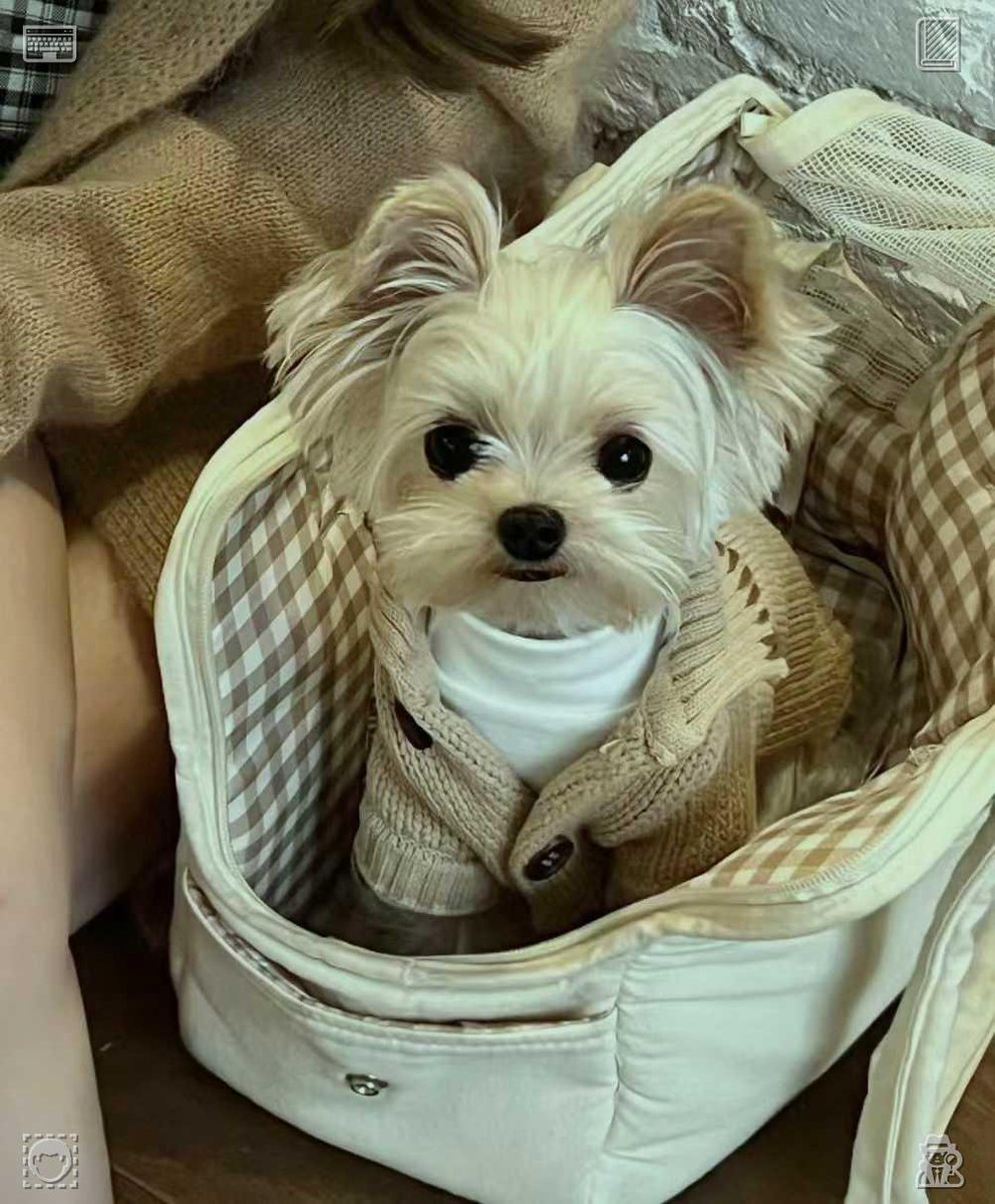 MI55GIO's tweet photo. 🧺Packing Backpack The backpack is ready906877Production diary: raw materials ready, processing underway, products will be ready soon! https://t.co/CNYCGbG9om