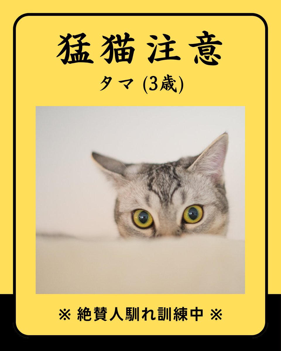 4646ii tweet picture