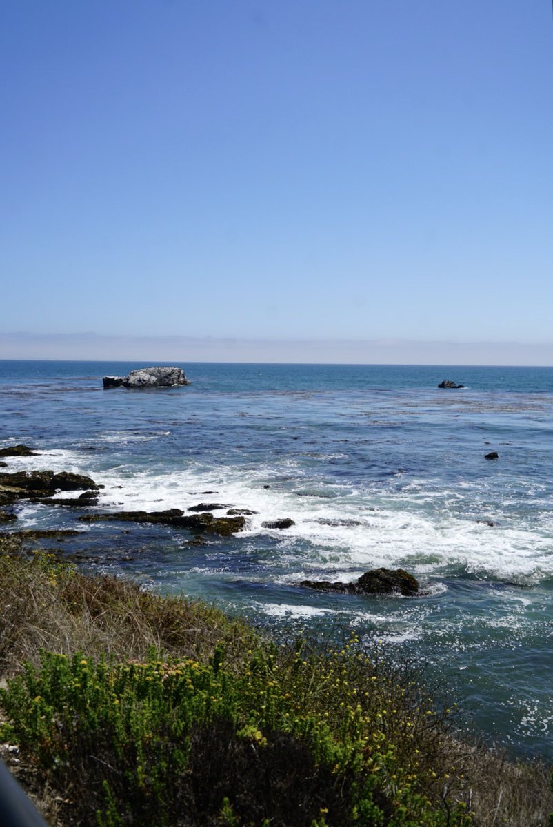 24cheIs's tweet photo. i would die for my country california https://t.co/nQukMaL1E7