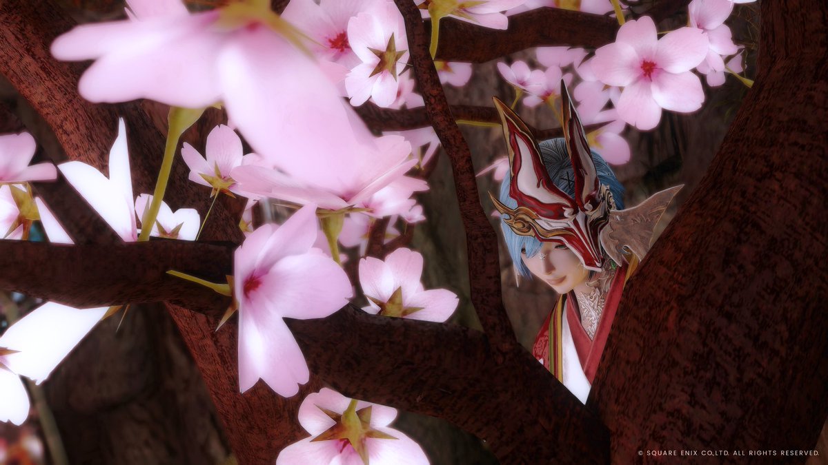 tachicom4ff14's tweet photo. 朝です。
ここすっごいすこ
#TaoProject #花ノ通ひ路 #FF14SS https://t.co/Hrw3hZ4v25