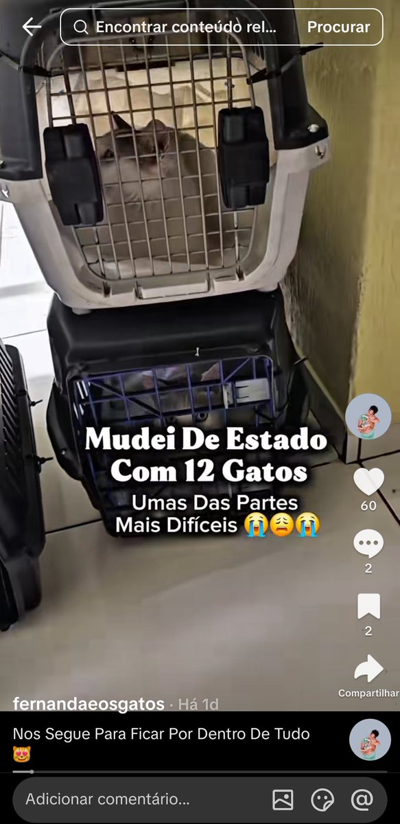 dedemedica's tweet photo. gente tem uma moça que eu tô acompanhando no tiktok faz uns dias, ela saiu da Bahia pro RJ levando TODOS os 12 gatinhos dela, achei um amor... mas agora aconteceu que os gatinhos estão gripados, ela levou uma que estava pior pro vet e um outro está internado, poderiam ajudar? https://t.co/wz8WwYndRf