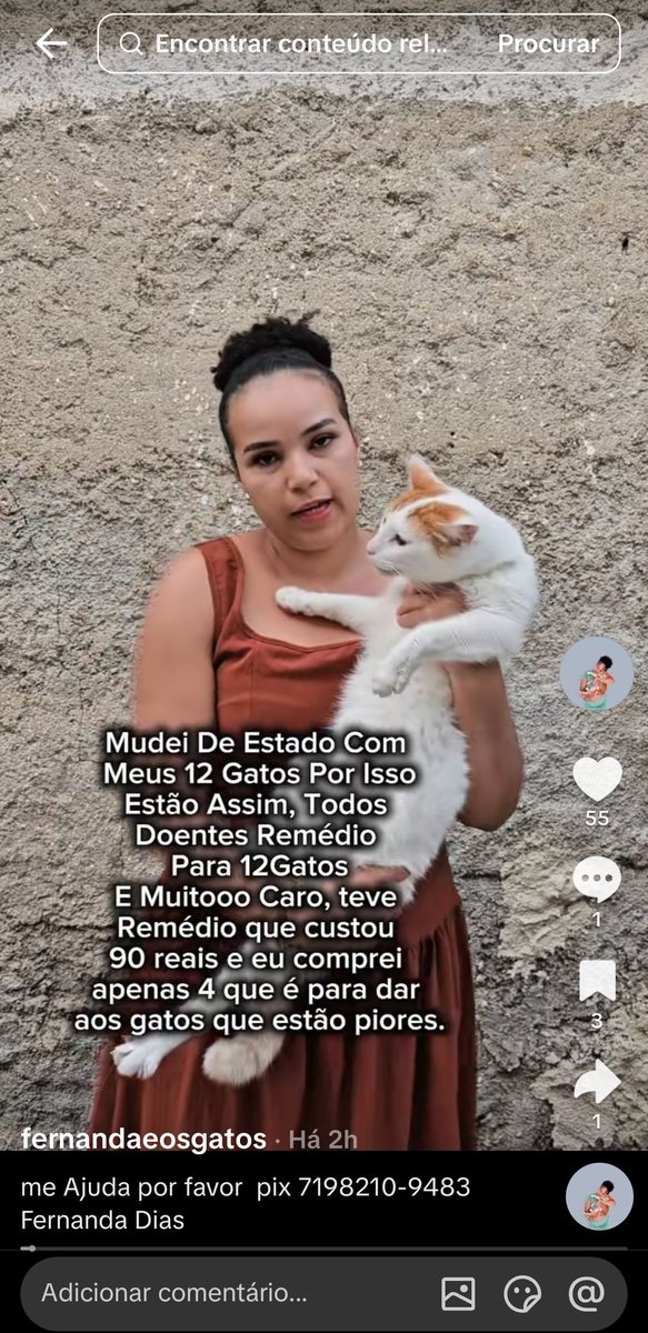 dedemedica's tweet photo. gente tem uma moça que eu tô acompanhando no tiktok faz uns dias, ela saiu da Bahia pro RJ levando TODOS os 12 gatinhos dela, achei um amor... mas agora aconteceu que os gatinhos estão gripados, ela levou uma que estava pior pro vet e um outro está internado, poderiam ajudar? https://t.co/wz8WwYndRf
