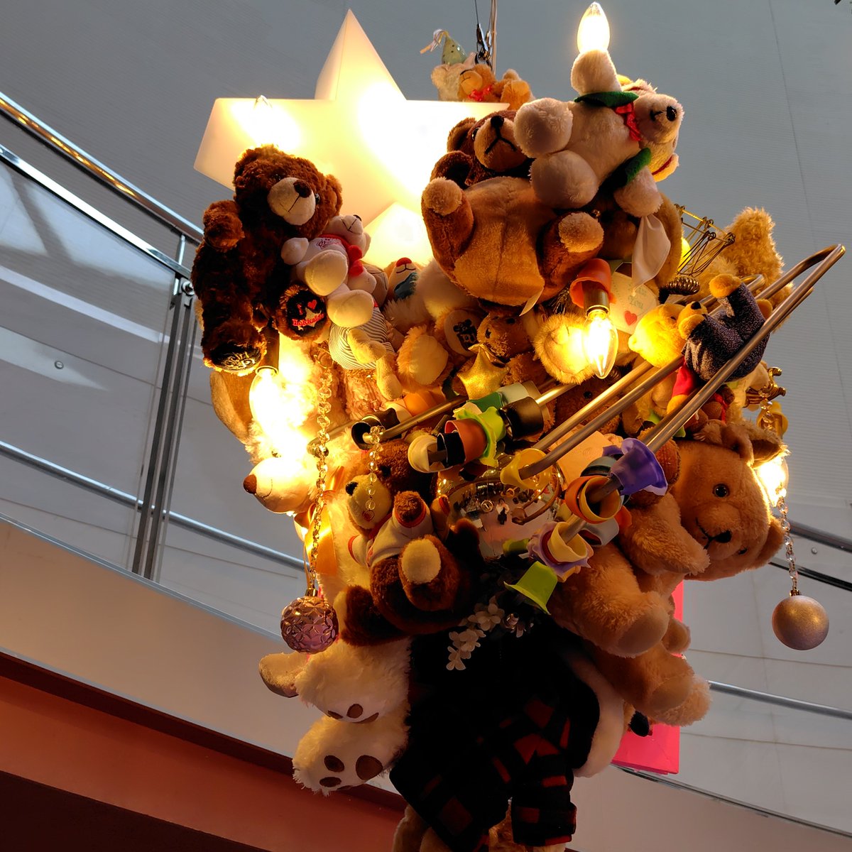 mitpanda tweet picture