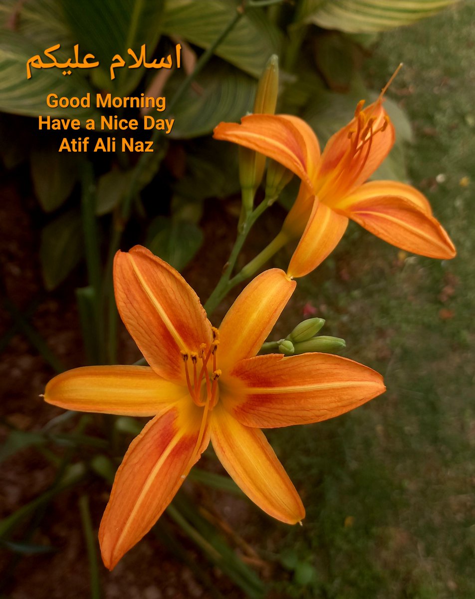 AtifNaz14's tweet photo. Good Morning https://t.co/LD81gtAKuq
