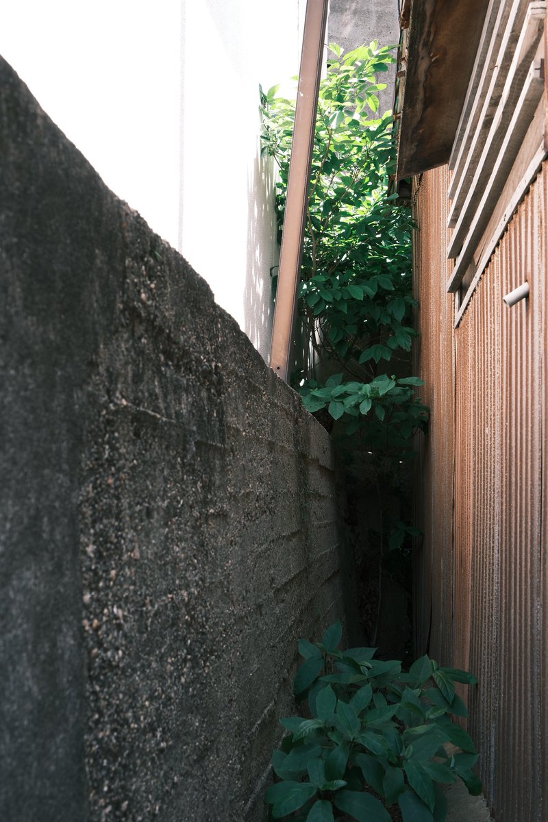 kobateck's tweet photo. おるね https://t.co/UGnC3ybbXK