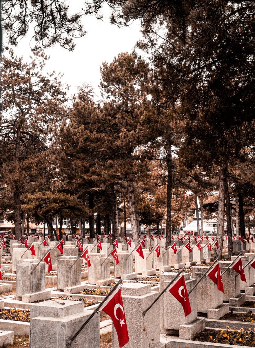yilmazdayann's tweet photo. Dağ gibi yiğitleri toprağa verdik 

Toprak utandı siz utanmadınız https://t.co/wIWwkEHDy6