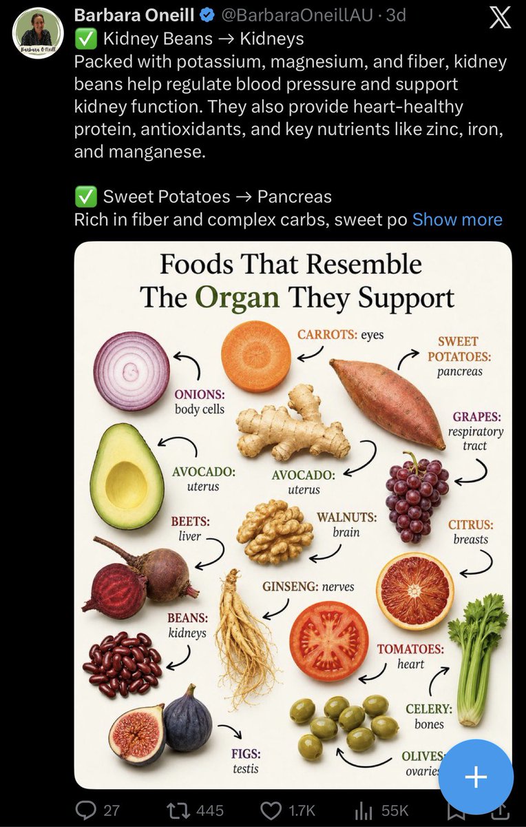 QuackDetector's tweet photo. I found what resembles Barb’s ideas. 

But if your uterus looks like ginger seek proper medical attention. 

#QuackONeill https://t.co/RhHMJsfH4f