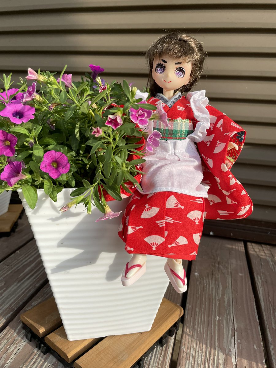 U9QytkVaaB830tM's tweet photo. ちっちゃいドール作り(身長22センチ)も大変なのですが、ビオラの種まきも大変です。ルーペ👓が必要 https://t.co/RBYkn7MOcm