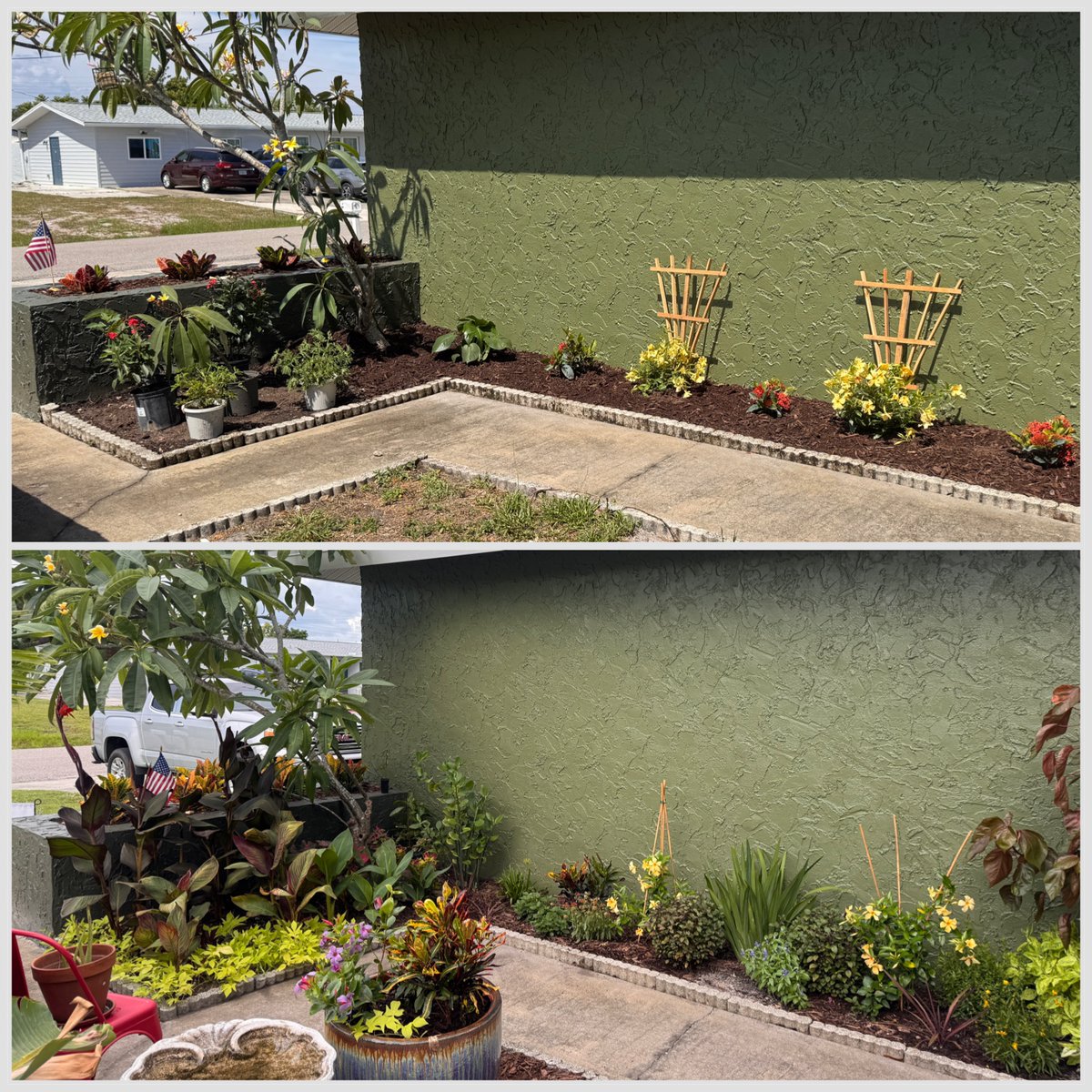 HazardFox's tweet photo. gardening is super rewarding to those who get off their ass and pull weeds

#gardening #landscaping #plants #florida https://t.co/d5YN5MVMMC