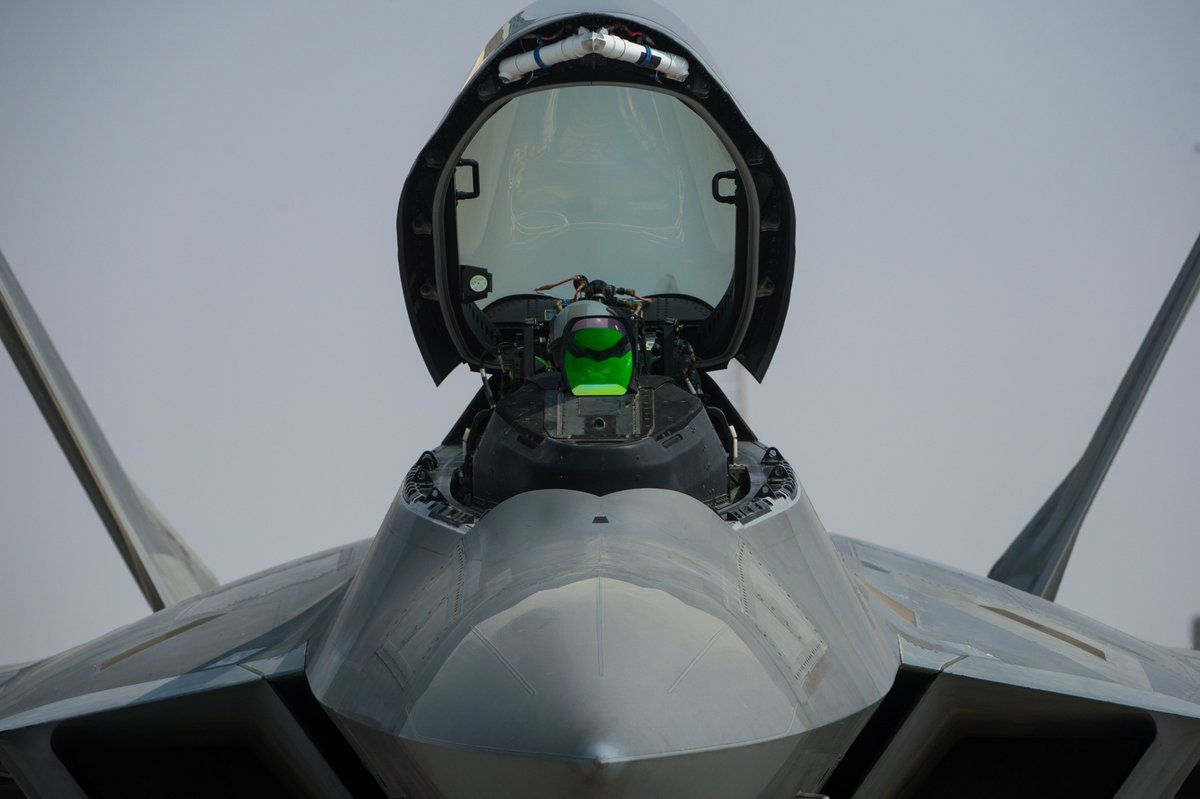 Remnantize's tweet photo. F-22 Raptor https://t.co/hvblF0FGZY