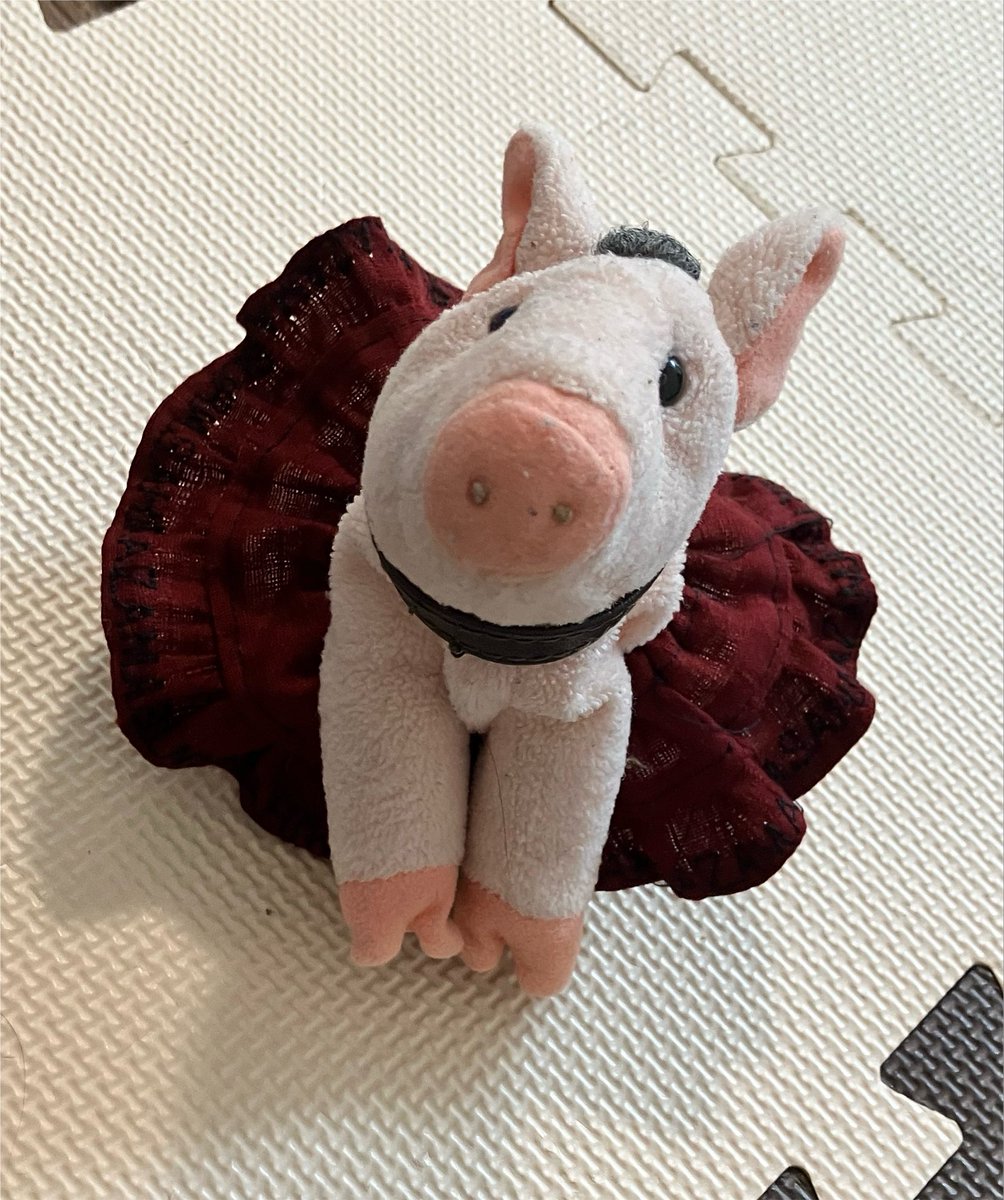 fune00423's tweet photo. あさひちゃんぬいちゃんの服をぬいぐるみたちに着せて遊んだ
みんな上品になった https://t.co/ZtbzGyFhjP