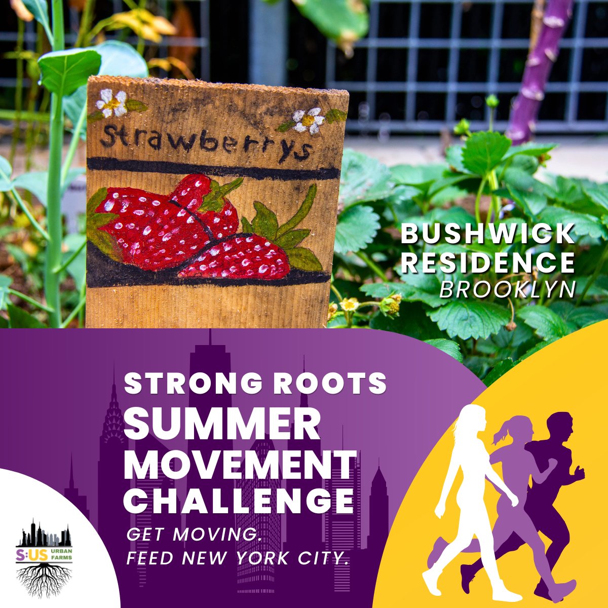 sus_org's tweet photo. Our Strong Roots Summer Movement Challenge is underway! 🌱 This week's route connects Marcy Hart to our Bushwick residence, S:US sites where gardens are strengthening #NYC #foodaccess and community. 

👉 Sign up today—your miles can make a difference: https://t.co/SJMYw0RS9N https://t.co/mKAMcpvWkS
