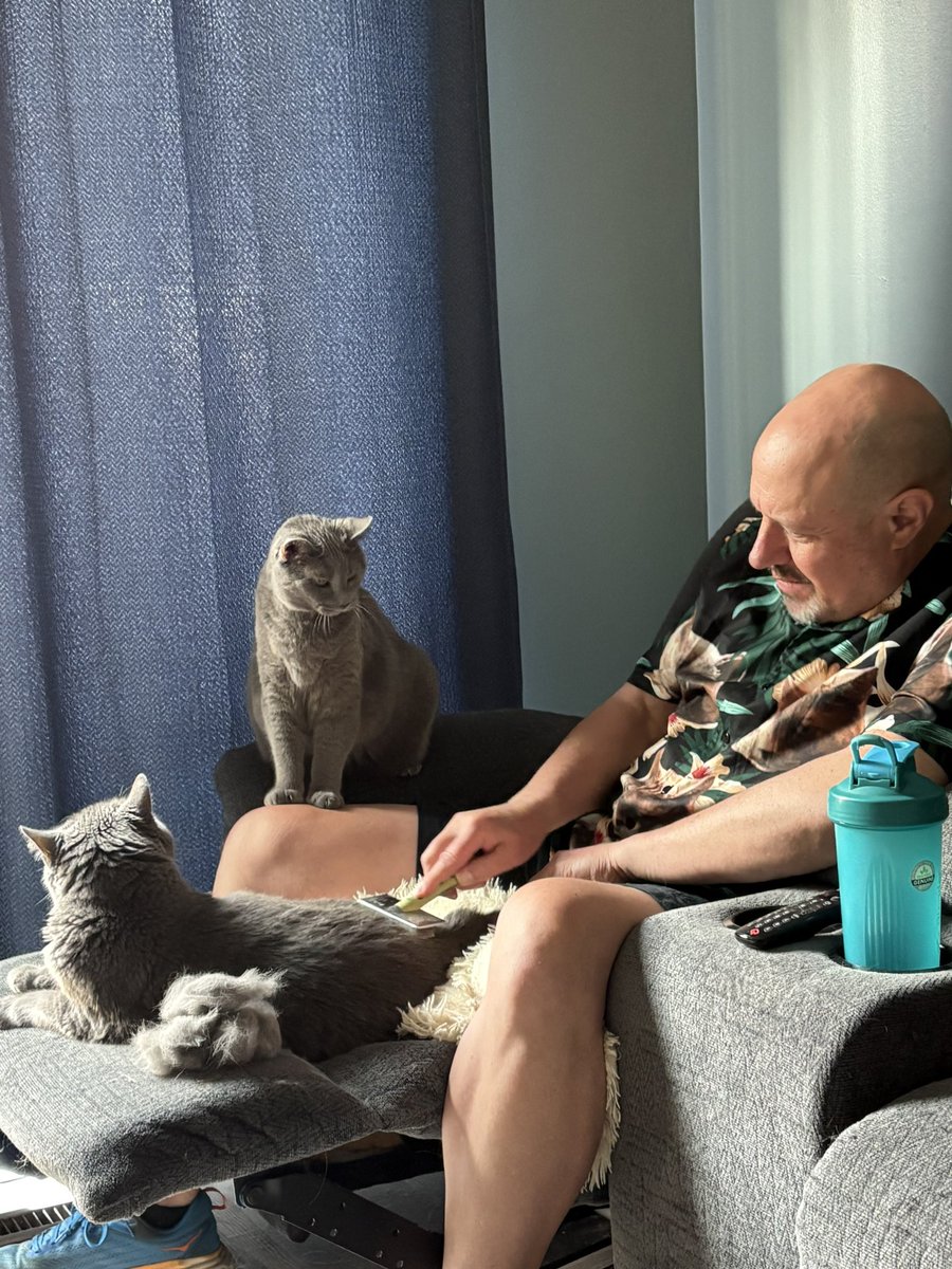 KimmerGHansen's tweet photo. @DaleAllenHansen BEST cat dad to #StormKitty and #GhostKitty! Especially wearing his cat-daddy shirt with their pics on it. #internationalcatday https://t.co/lt6473oWLu