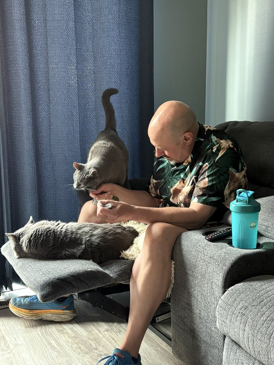 KimmerGHansen's tweet photo. @DaleAllenHansen BEST cat dad to #StormKitty and #GhostKitty! Especially wearing his cat-daddy shirt with their pics on it. #internationalcatday https://t.co/lt6473oWLu