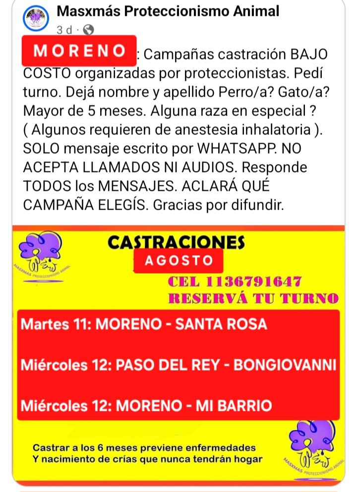 protegealanimal's tweet photo. MORENO
#MORENO #SANJORGE #MARILÓ #JARDINES1 #LAPERLITA #SAMBRIZZI #ELCAÑÓN #LASFLORES #SANTABRÍGIDA #PASODELREY #BONGIOVANNI #TRUJUI #BARRIO4VIENTOS #MALAVER2 #CUARTELV #LAREJA #VILLASALAS #LAREJAGRANDE #MIBARRIO #FRANCISCOÁLVAREZ #ZONAOESTE #GRANBSAS #BSAS #CONURBANO https://t.co/yUHUmJobW0