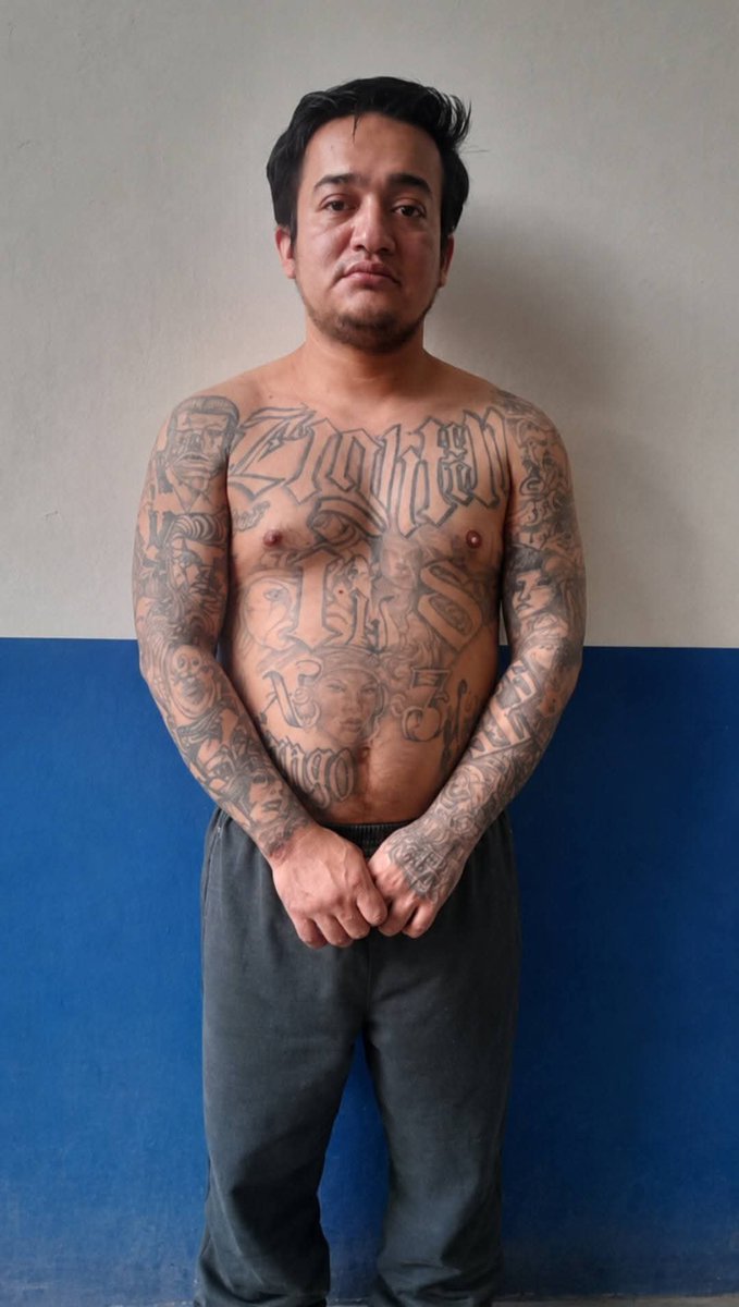 ElJusticiero_SV's tweet photo. 😯🚨 ¡COBARDEMARERO HUYÓ A GUATEMALA Y FUE DEVUELTO AL CECOT! 
​Carlos Mario Rivera, alias "El Perverso" (Pandilla 18), huyó a Guatemala para escapar del régimen. Fue rastreado, capturado gracias a inteligencia binacional, expulsado y recibido por la PNC para ir directo al CECOT https://t.co/4lQAQaHvR7