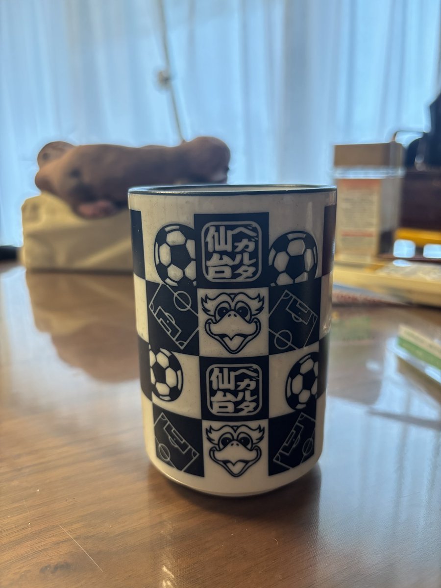 sam_dr_mino's tweet photo. まだ第一節終わっただけ
大騒ぎする必要無し
各選手が不足している部分を知る機会だったのなら、収穫はあったのだと思う
毎試合、次に備えるの繰り返しの中で強くなればいいだけだ
選手たちもサポーターも前向こう
と、我家のベガッ太が申しております☺️ https://t.co/9Yl90IqBMS