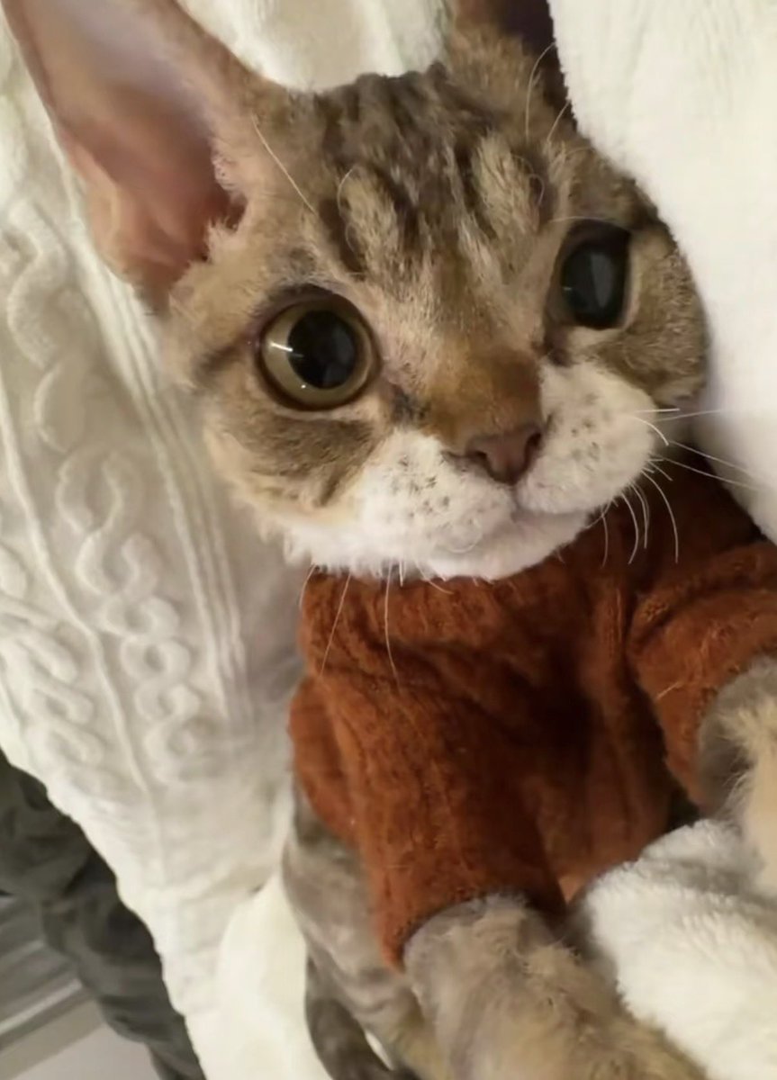 twaniimals's tweet photo. https://t.co/WGmJoTFdEQ