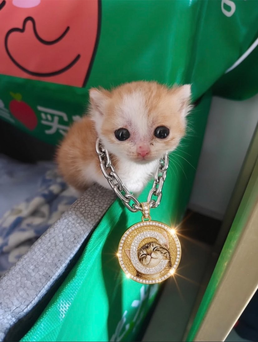 skywalknn's tweet photo. $CATE  We gonna start flying soon https://t.co/aH6GDFeWye