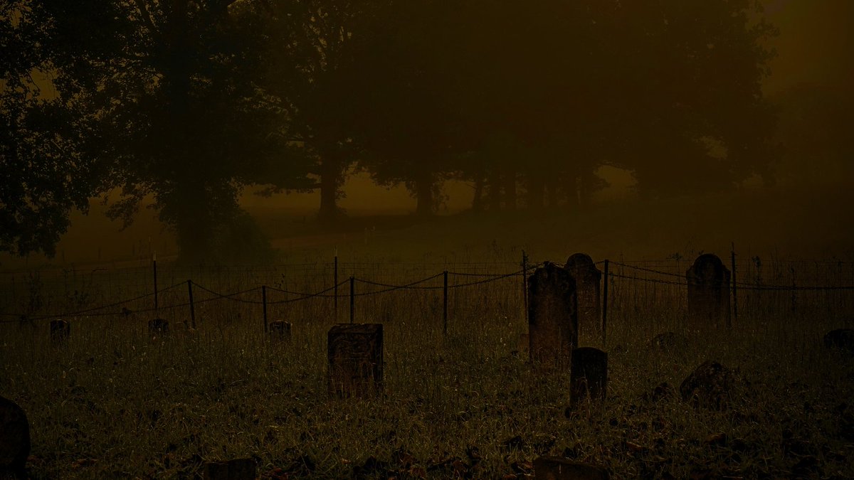 zombiegyyyrl's tweet photo. https://t.co/Dk2WniV318