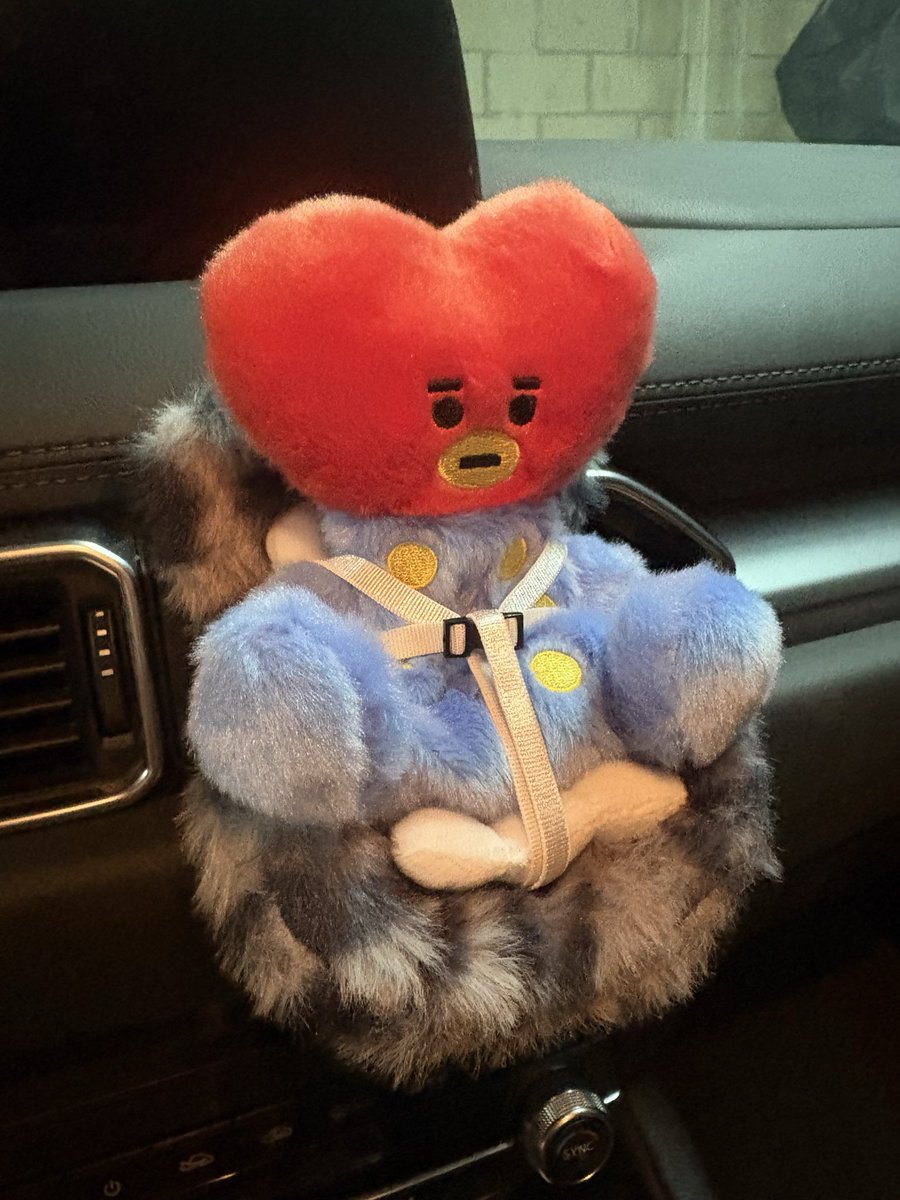 catsntangerines's tweet photo. Tata used to just chill on my dash until I let NotYoongi drive my car one day and he sent the poor lil guy flying off by driving like a maniac 😭

He apologized by buying Tata his very own car seat so he’ll be safe no matter who drives 🤣🤣 https://t.co/LJusaZ0qFq