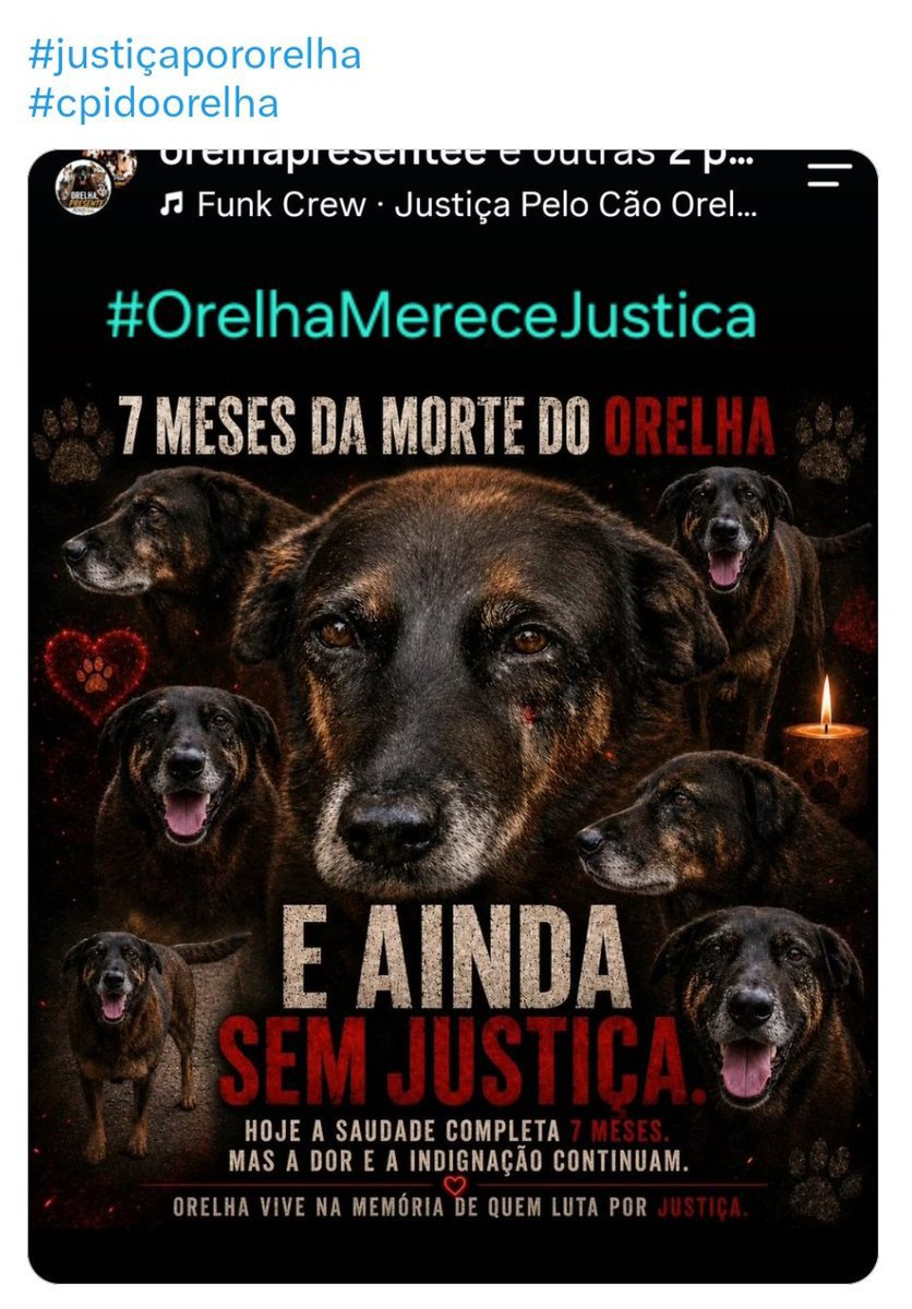 ClaudioFarias70's tweet photo. https://t.co/wZa2d59QJl