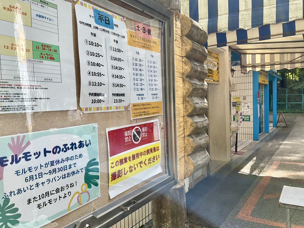 ichikawa_zoo's tweet photo. 8/9(日)9:00
おはようございます。中の人です。

当園からの公式な情報発信はウェブサイトと
このXアカウントのみです。
Facebook、Instagram、TikTok等のSNSで
当園公式を名乗るアカウントは全て偽物です。
当園の飼育員を名乗るアカウントも偽物です。
ご注意ください⚠️

#市川市動植物園 https://t.co/Qm1Jq9xi7V