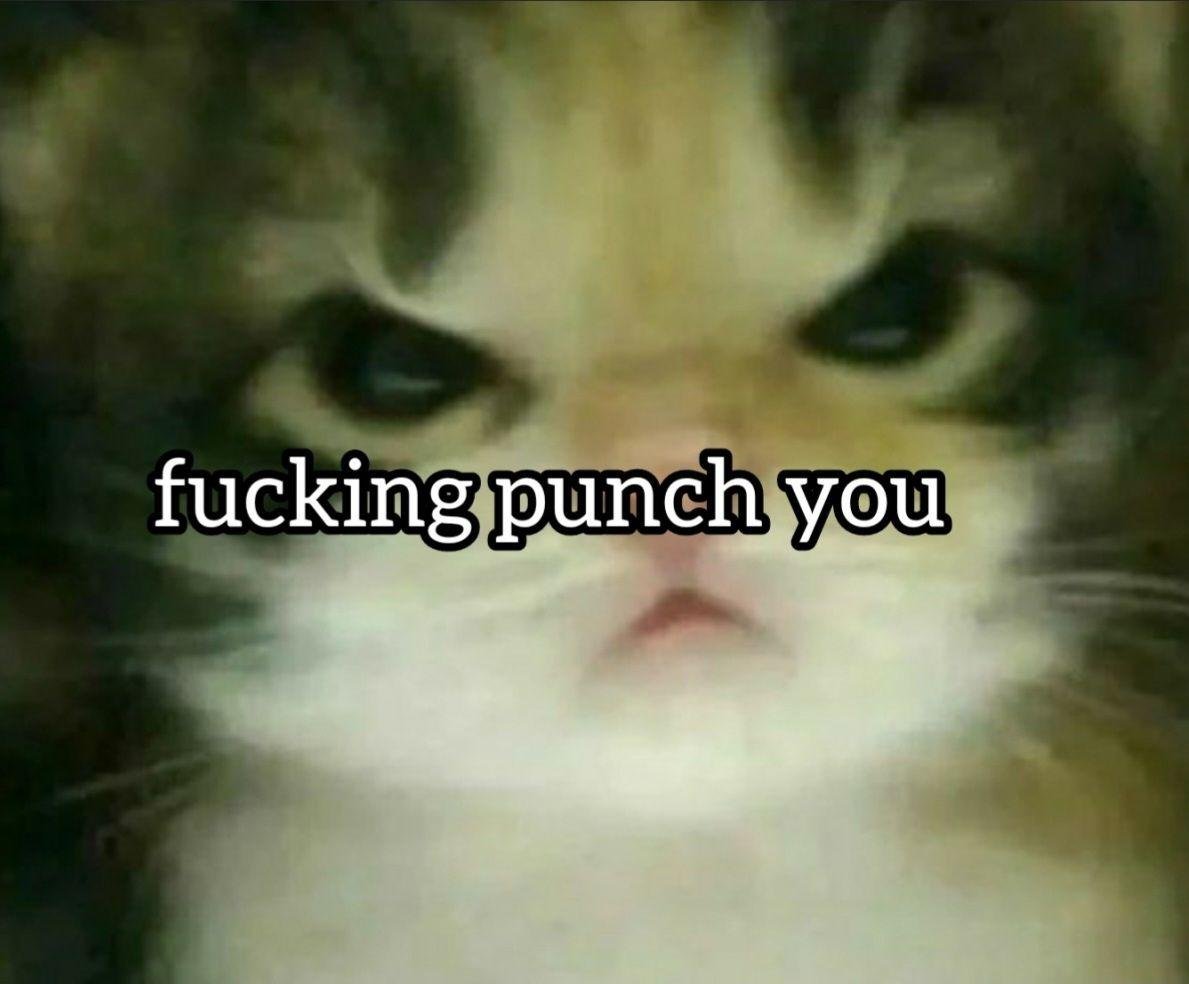 smeedlewald's tweet photo. @_flowerbeanie__ https://t.co/nuAsgzSnkS