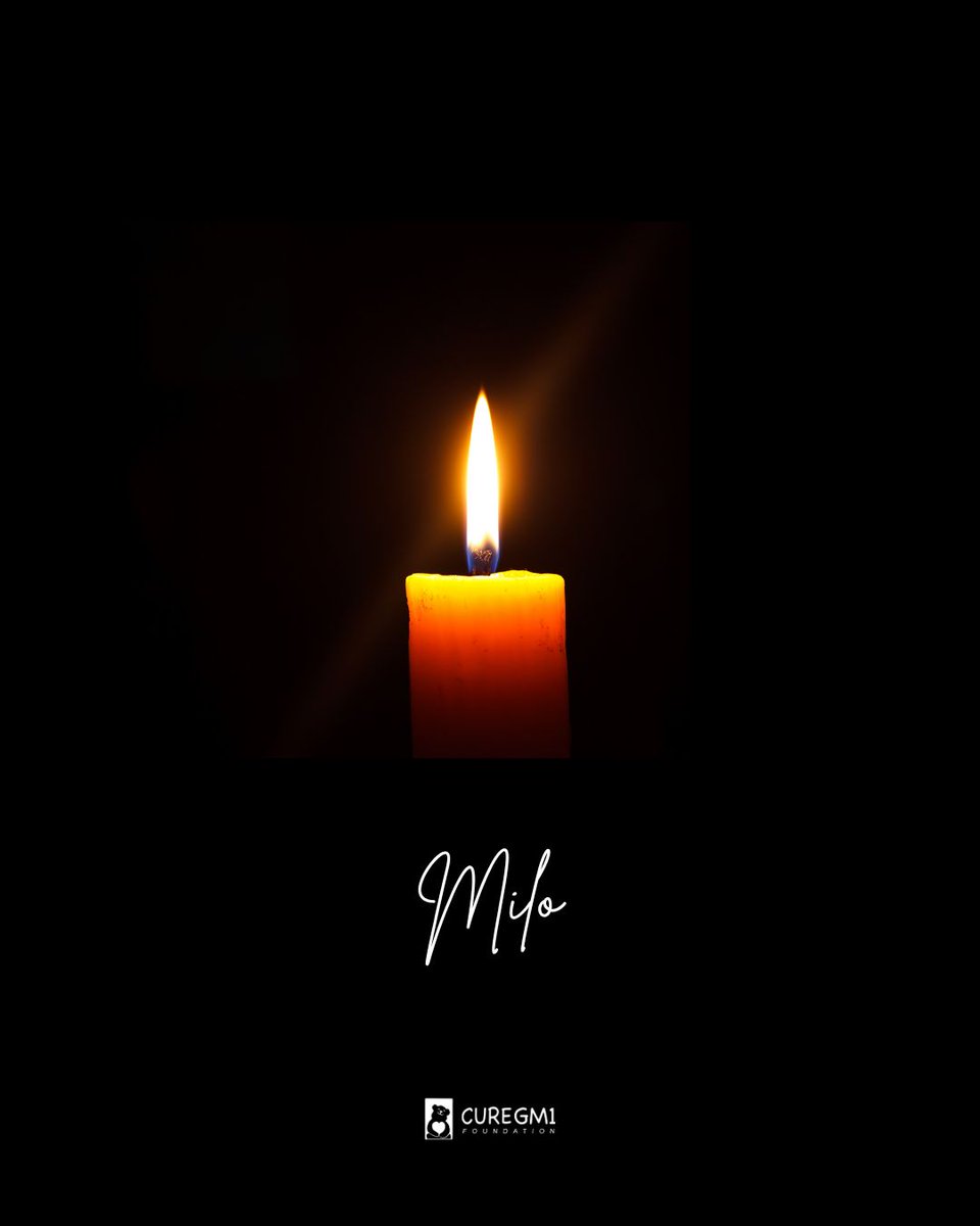curegm1's tweet photo. On Monday, July 20, at 10:20 a.m.,  Milo—only 21 months old—left this earth. 
"I do not believe there is any greater pain than watching a child pass away.” -Milo’s mom
#curegm1 #raredisease https://t.co/i8901nCZOU