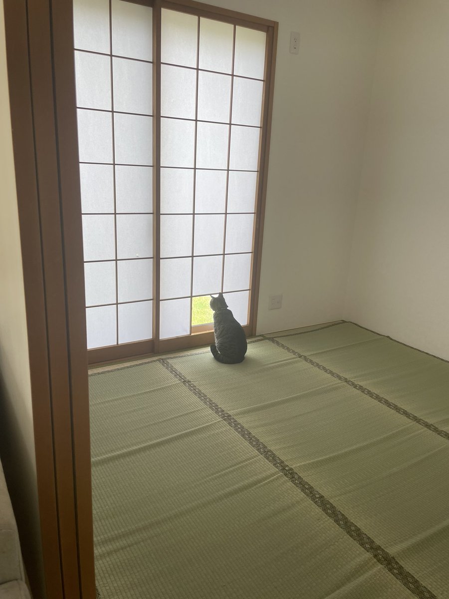 saBu__yomoGi's tweet photo. こうなりまつた。 https://t.co/0af6yvVywL