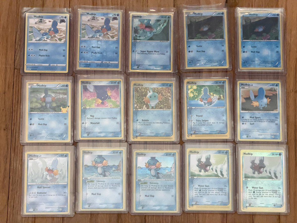 DexSnep's tweet photo. @lotte_cafe_5654 cool collection!! i have a few more that aren't shown here, but you have a few cards i dont have yet!! i hope i can get the Brock's Mudkip someday :) https://t.co/3Hm1OUUeRO
