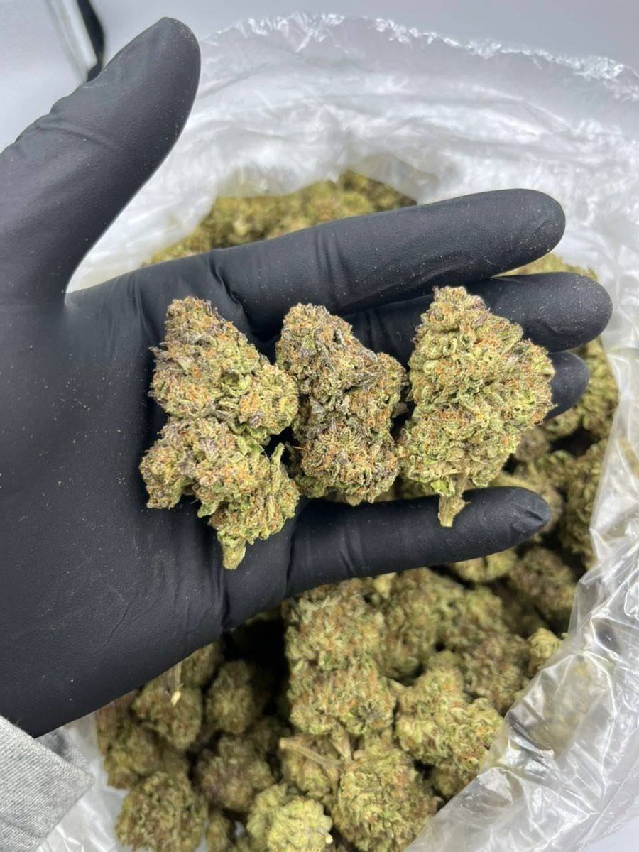 JoskyDs's tweet photo. #Shrooms #shroom #psychedelicArt #adderall #sprituality #trippy #mycology #love #fyp #fypage #ecstasy #pills #pharma #fentfree #fentanyl #mescaline #breakthrough #psychoactive #NFFC #xos #xanscandyland
#2cb #mindtherapy #btc #edibles https://t.co/x9yMSvt2L5