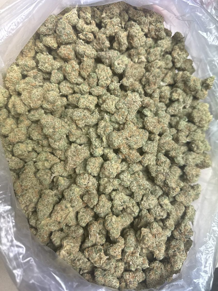 weedplugggg's tweet photo. Frosted Flakes 
Lemon Cherry
Cali Runtz 
Mr Stinky 
Telegram user 

@Thelungz

#cannabis #thc #thcplug #mexico #herps #flower #smoke #paris #london #porn #exotic https://t.co/MKPzOABd2I