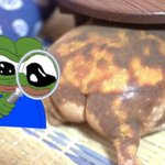 Photo by 🎄𝐻𝒶𝓋𝑜𝓀 𝐻𝑒𝓁𝓂𝓊𝓉 🐸 (@HavokHelmut)