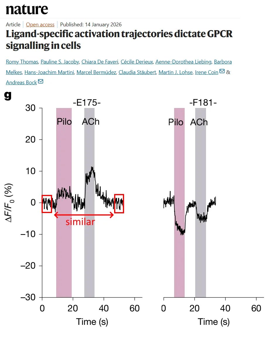 addictedtoigno1's tweet photo. Some interesting cheating in a 2026 Nature paper. Similar areas in this fluorescence measurement are unexpected, these tend to be quite noisy. Source data confirms sections have been copied and pasted 👇 https://t.co/344BWj0wVX