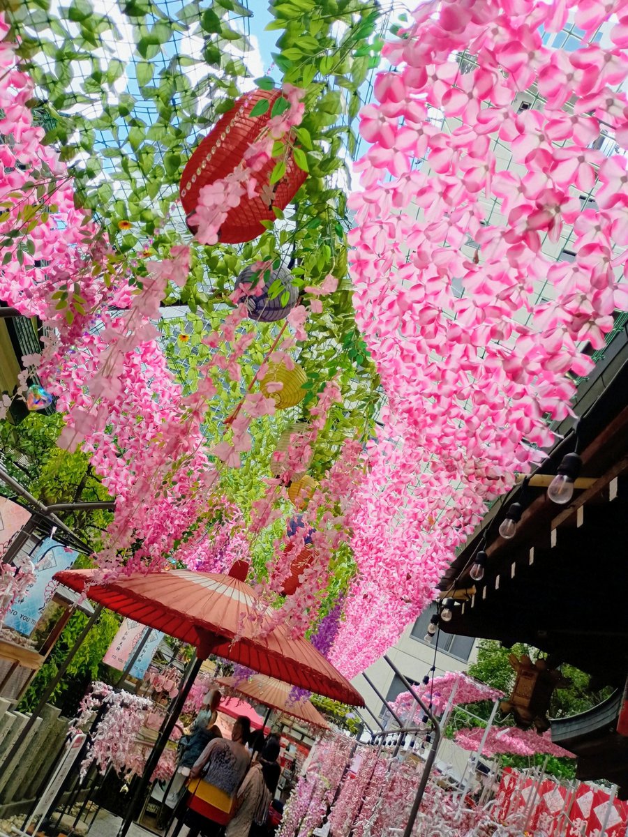 0119717y's tweet photo. おはようございます
たまたま通った通りでめっちゃ綺麗な
神社見つけました
〝露天神社お初天神〟すごい 大阪では有名で歴史ある神社なんですね https://t.co/Ho1cK39O4K