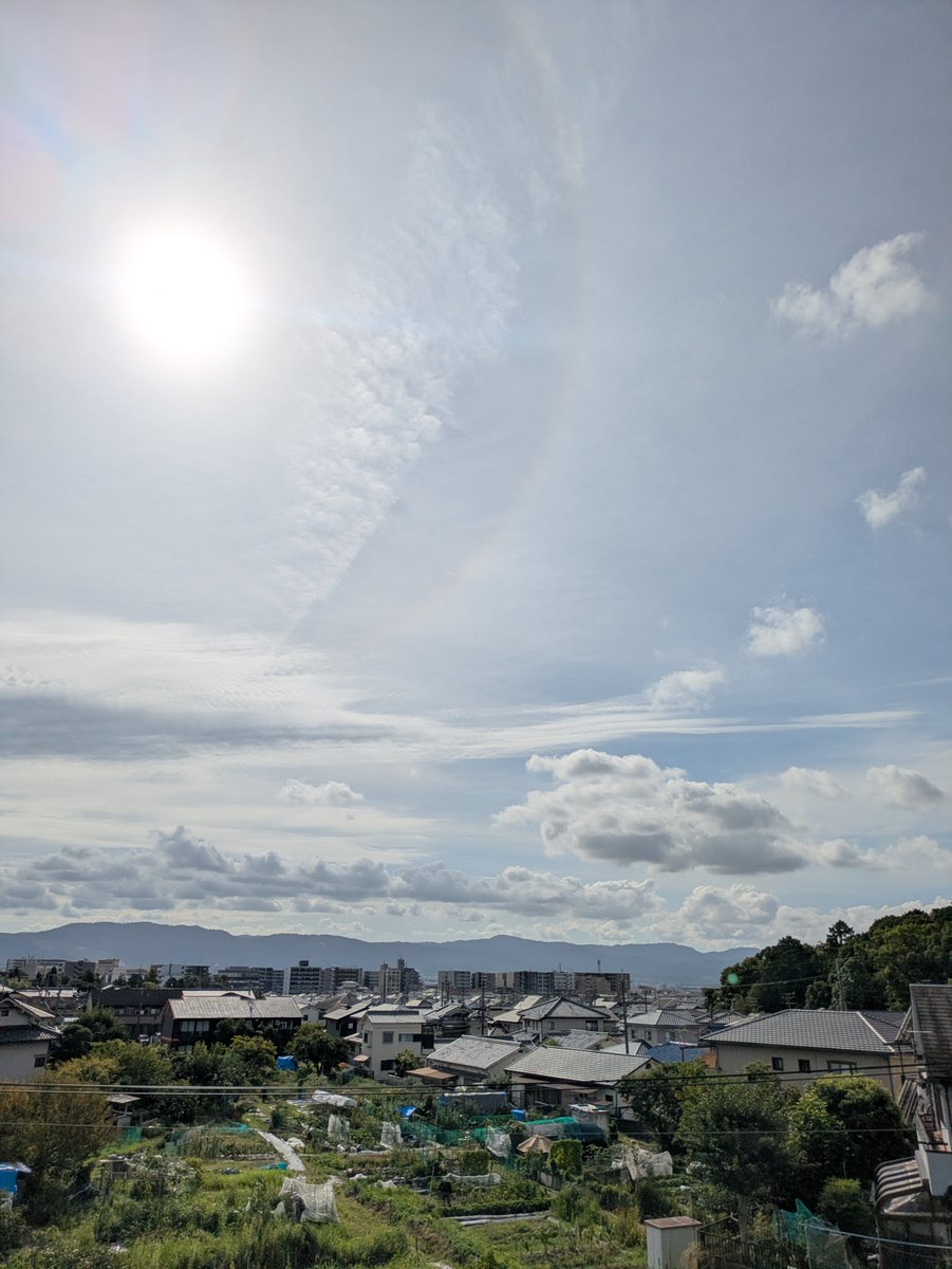 hennara5's tweet photo. 朝散歩　2026.8.9
#朝散歩
#ハツユキカズラ https://t.co/pQCtNjve0q