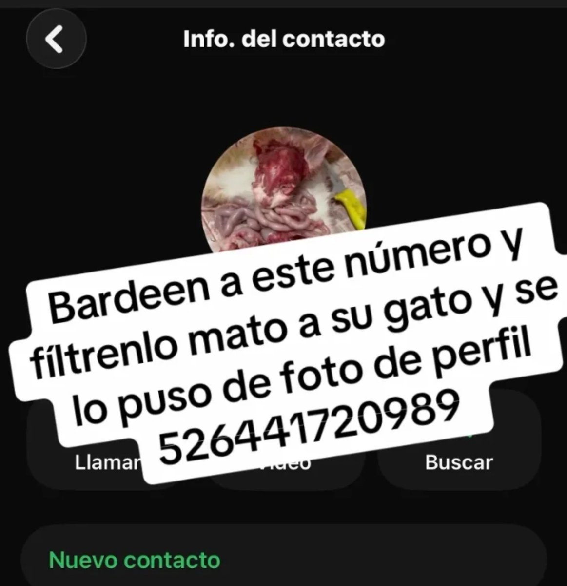 brybryllita's tweet photo. Nro: +52 (🇲🇽) 644 172 0989
Reporten nro y bardeen 
(la información no la saqué yo) 
Porfavor difundir https://t.co/E3677UQFfw