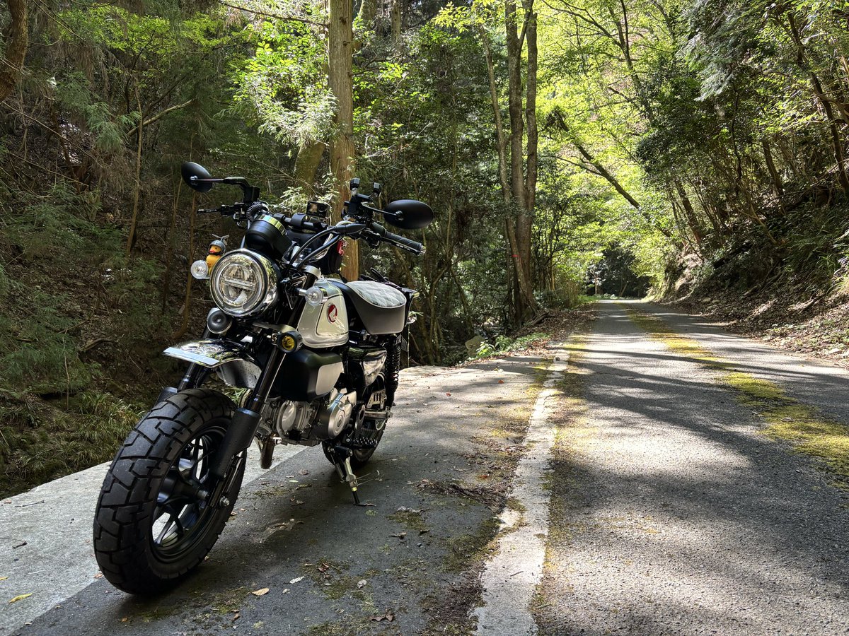 naru764's tweet photo. #モンキー125
#県道402 https://t.co/IMvXUTVwhE