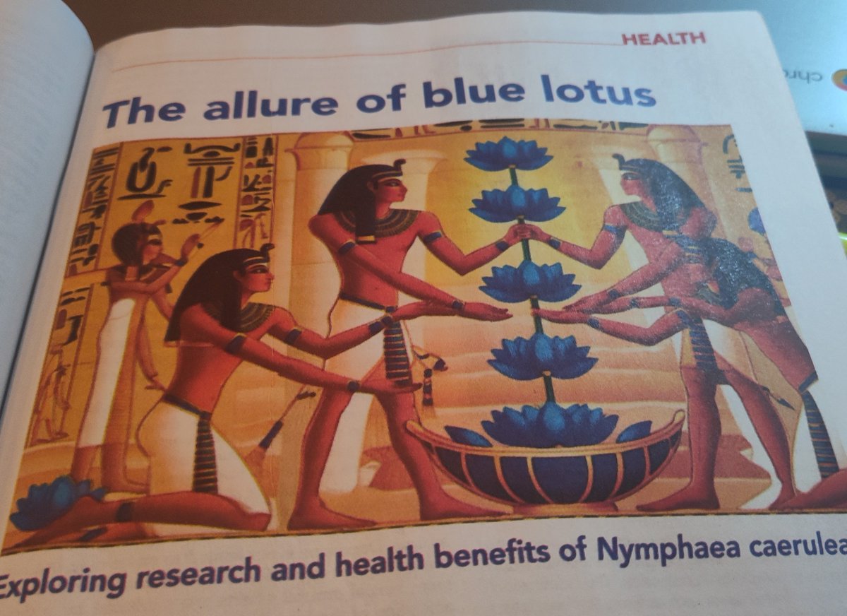 AnnaGarasto's tweet photo. After Hotdocs we went to this awesome magazine store Presse International on Bloor St W and found some wonderful magazines. I read this piece on the Blue Lotus and it was so informative. Michalangelo at 87 was so right when he said ---> #IAmStillLearning https://t.co/kDfZ2IPwSf