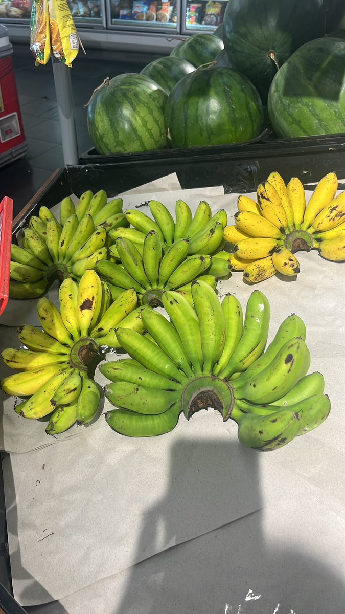 sukunacht's tweet photo. dia suka pisang superindo https://t.co/LEzruxEtaX