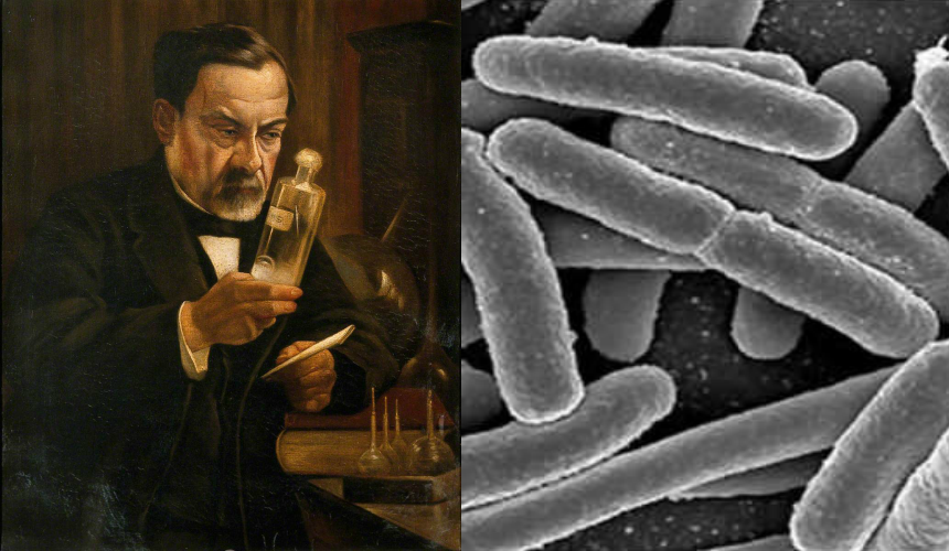 BobbyFreiler's tweet photo. Louis Pasteur admitted on his deathbed that germ theory was wrong.

Yet we built our entire medical system on his lie.

Here's why bacteria aren't your enemy (and what's actually making you sick):

Germ Theory says:

→ You get sick because of “germs” invading your body
→ Health is about killing or avoiding those germs
→ Pharma & vaccines are your “saviors.

Sounds simple. But simple doesn’t mean true my friends.

Louis Pasteur admitted at the end of his life:

"The germ is nothing. The terrain is everything."

He spent his final moments confessing that his rival, Antoine Béchamp, was right all along.

But it was too late. The pharmaceutical industry had already found its golden goose...

Think about this:

Two people can be exposed to the same “germ.”

One gets sick. One doesn’t.

Because the strength of the terrain — the immune, lymphatic, and cellular health of the body — makes all the difference.

We literally have 10x more bacteria in our body than human cells.

They're not invaders but our silent helpers.

They digest food, produce vitamins, regulate immunity, even influence our mood.

But here's what the medical system won't tell you...

Bacteria only become "pathogenic" when your internal terrain is compromised.

It's like blaming firefighters for fires because you always see them at burning buildings.

The bacteria show up BECAUSE you're sick. Not the other way around.

Your body becomes a breeding ground for problems when:

• pH becomes acidic (below 7.0)
• Lymphatic system gets clogged
• Elimination channels shut down
• Toxins accumulate

The "germs" are just doing their job - breaking down damaged tissue.

We used to be farmers, playing in dirt all day.

Now we sanitize everything, take antibiotics for sniffles, and wonder why autoimmune diseases have increased 300% in 50 years.

Your immune system needs practice. Sterility makes you weak.

There is a simple math behind why Big Pharma pushes germ theory so hard:

• Kill the germ = temporary fix = repeat customer
• Fix the terrain = actual healing = lost revenue

As the old saying goes, "A patient cured is a customer lost."

The real secret to health isn't fighting germs.

It's creating an internal environment where disease can't thrive:

• Alkaline diet (fruits & vegetables)
• Moving lymph (exercise, dry brushing)
• Proper elimination
• Reducing toxic load

Your body knows how to heal.

Even Pasteur knew he was wrong.

But admitting it would've destroyed a multi-billion-dollar industry built on fear.

So we keep sanitizing, medicating, and getting sicker.

Time to question everything you've been taught about health.

Your body isn't at war with nature. It IS the very nature.

Start working WITH the 39 trillion bacteria in your body instead of against them.

They've been keeping you alive this whole time, friends.