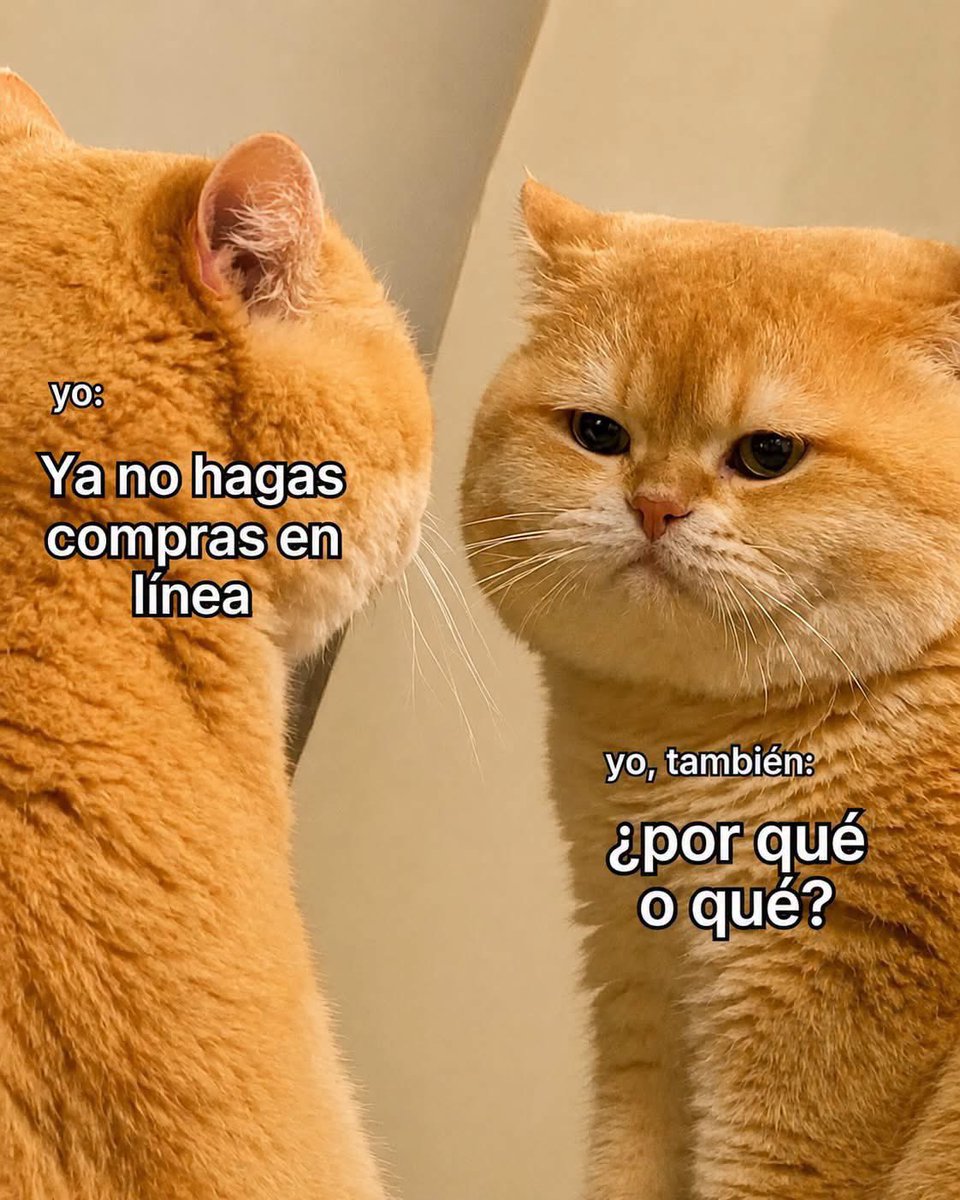 nacional_memes's tweet photo. 🐱 https://t.co/pLMhHBiyov